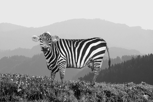 Copyright: Krobath