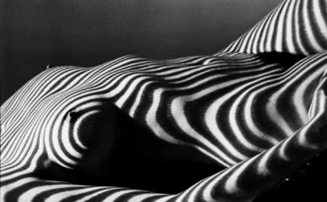 Eguizabal for ZEBRA
