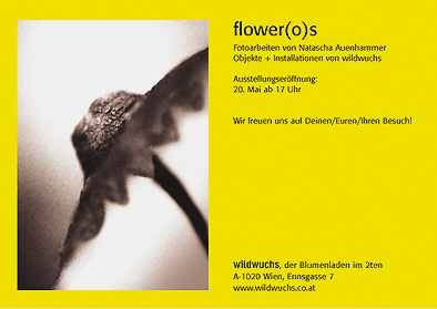 Einladung - zu den Bildern klicken Sie hier... 