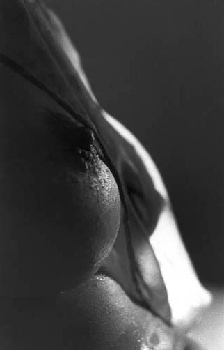 Busenbuch Euro 40,--