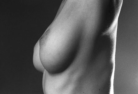 Das Busenbuch 40,- Euro  Bestellung �ber E-Mail m�glich