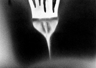 Lichtung, 85x60, 480 Euro