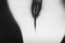 Venusfliegenfalle, 100x160, 780 Euro