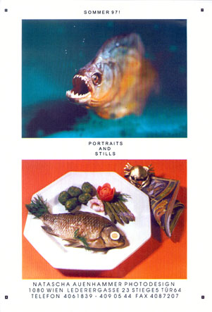 Portraits and Stills