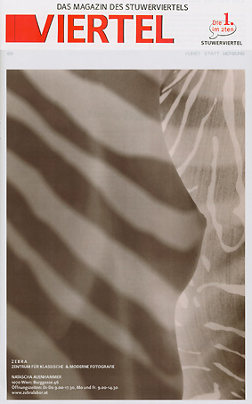 Stuwer Viertel November 2009 Kunst statt Werbung-seite