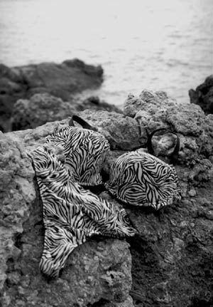 Copyright: Natascha Auenhammer