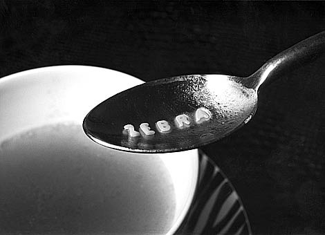 Copyright Natascha Auenhammer