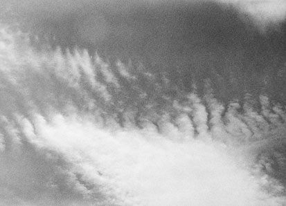 Copyright Natascha Auenhammer