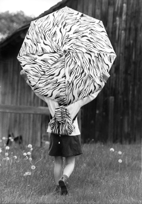 Copyright: Natascha Auenhammer