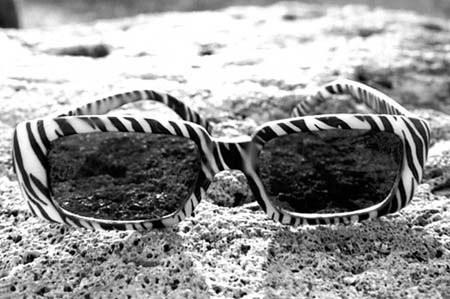 Copyright: Natascha Auenhammer