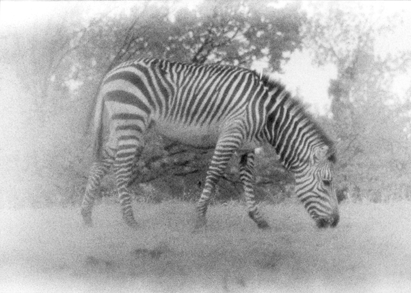 Copyright: Natascha Auenhammer