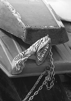 Foto: Natascha Auenhammer