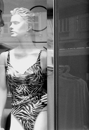 Copyright: Natascha Auenhammer