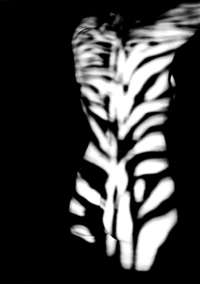 Copyright: Natascha Auenhammer