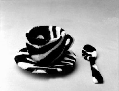 Copyright f�r alle: Natascha Auenhammer