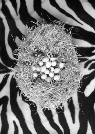 Copyright: Natascha Auenhammer