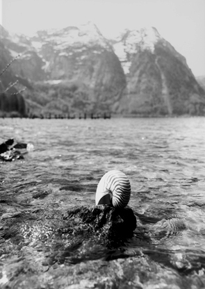 Copyright: Natascha Auenhammer