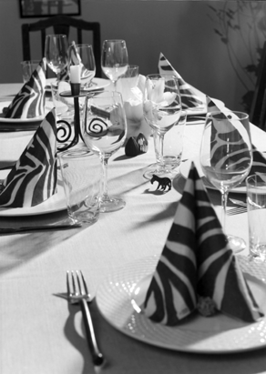 Copyright: Natascha Auenhammer