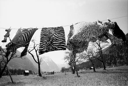 Copyright: Natascha Auenhammer